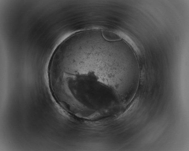 X0000088231047200705151449