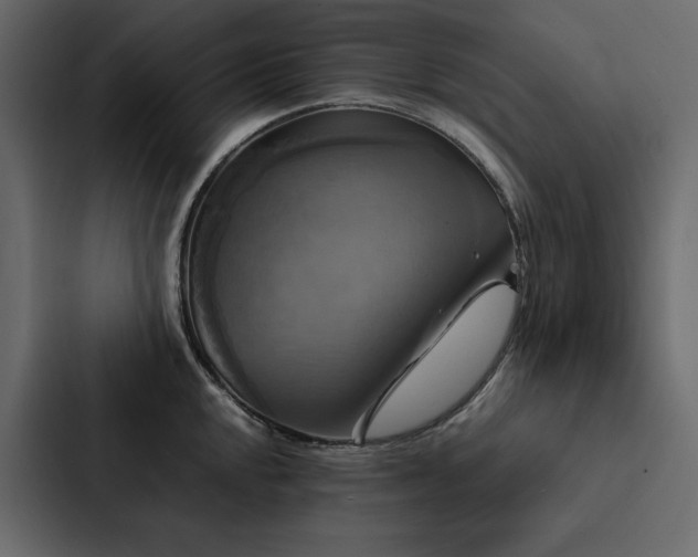 X0000088231048200705151449