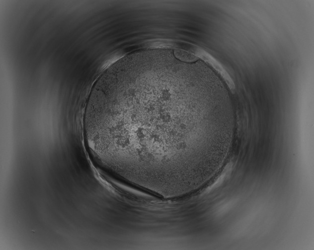 X0000088231049200705151449