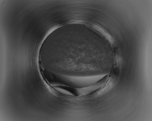 X0000088231050200705151449