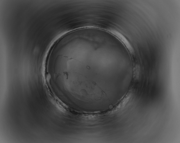 X0000088231051200705151449