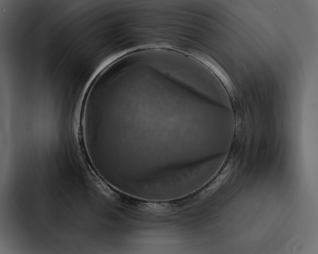 X0000088231052200705151449