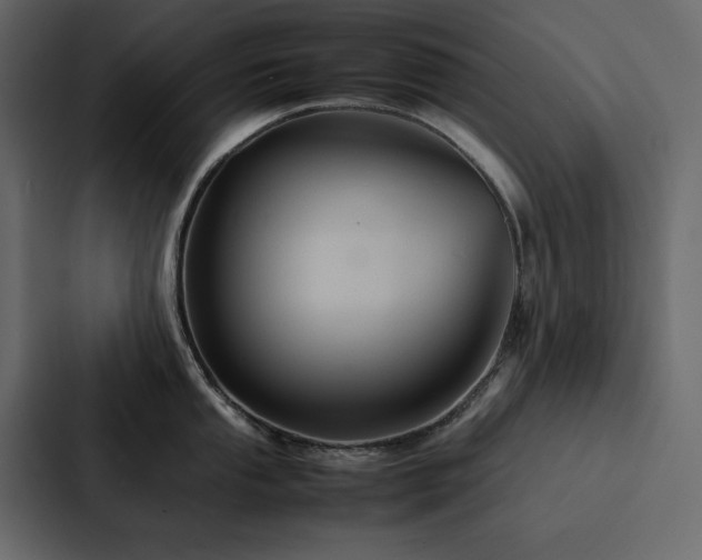 X0000088231053200705151449