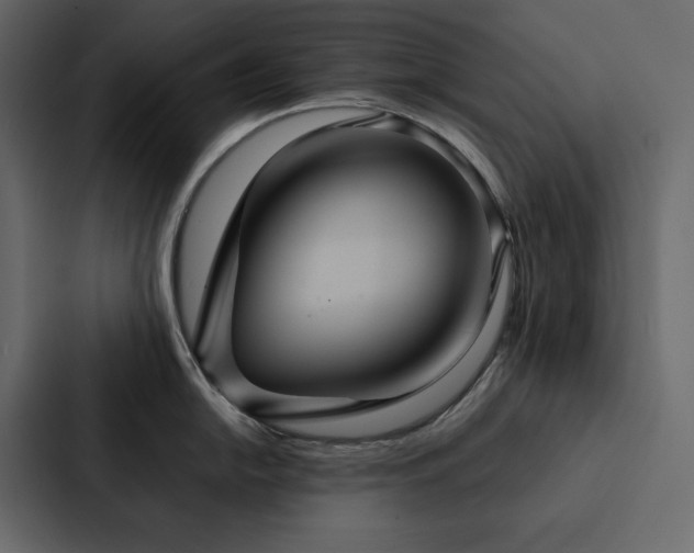 X0000088231054200705151449