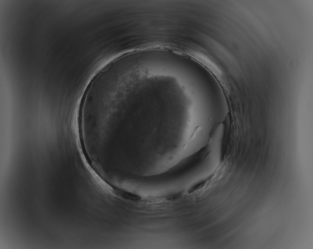 X0000088231055200705151449