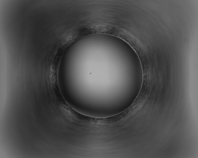 X0000088231058200705151448