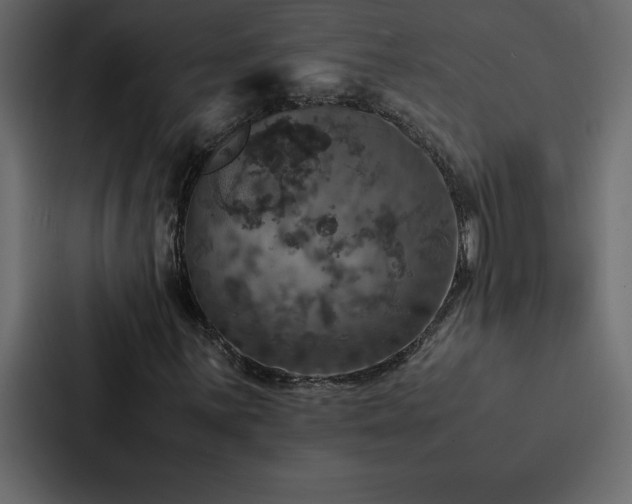 X0000088231059200705151448