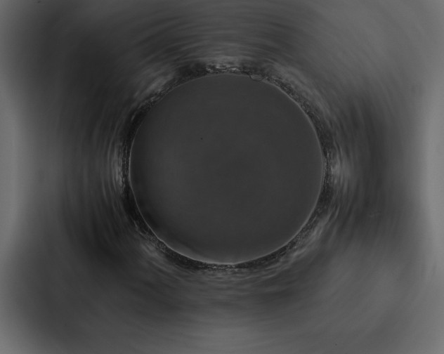 X0000088231060200705151448