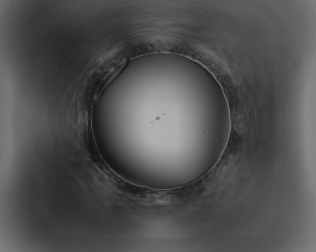 X0000088231061200705151448