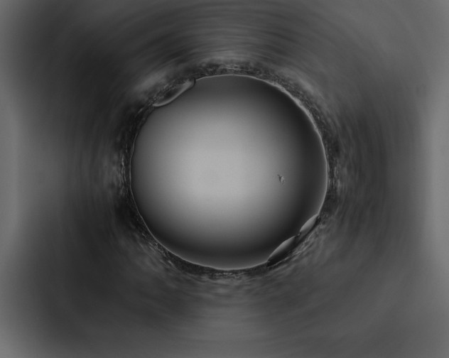 X0000088231062200705151448