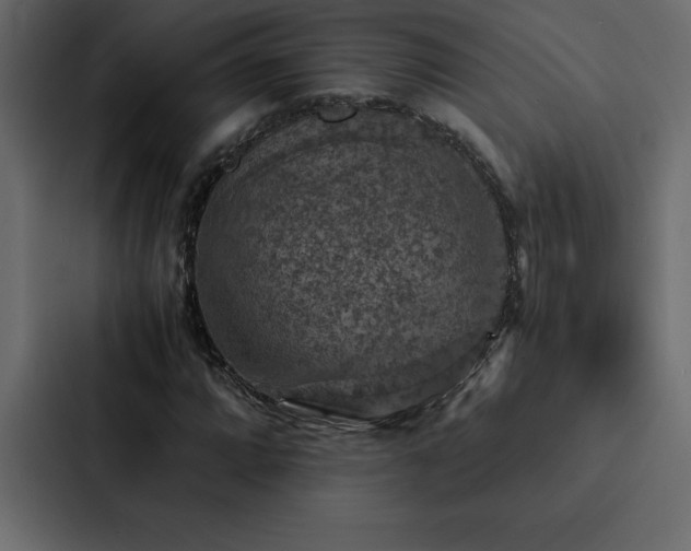X0000088231064200705151448