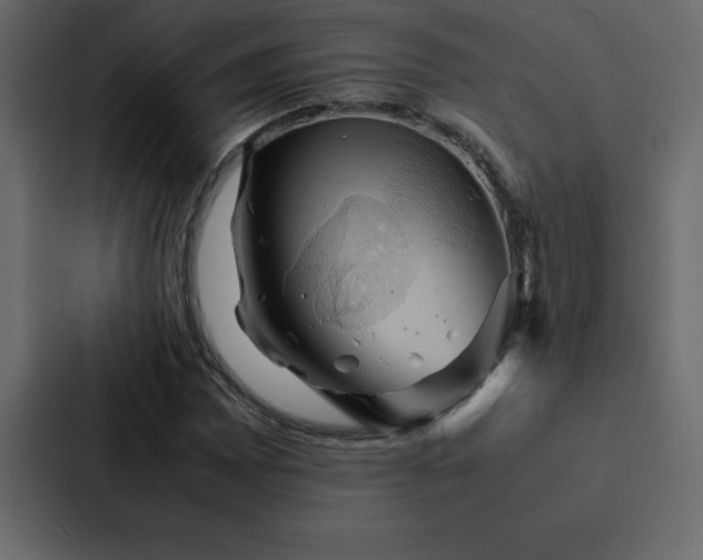 X0000088231065200705151448