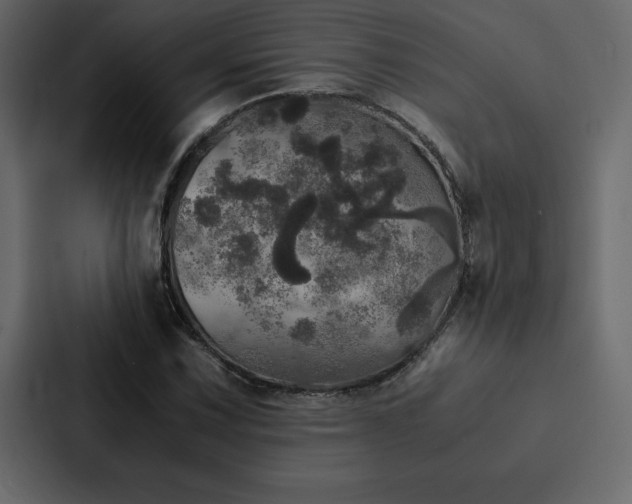 X0000088231067200705151448