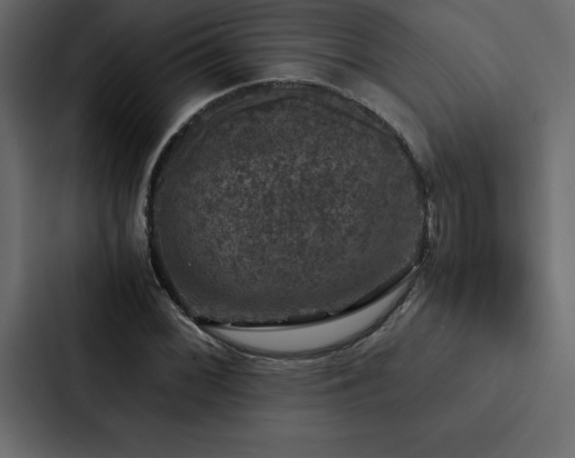 X0000088231068200705151448