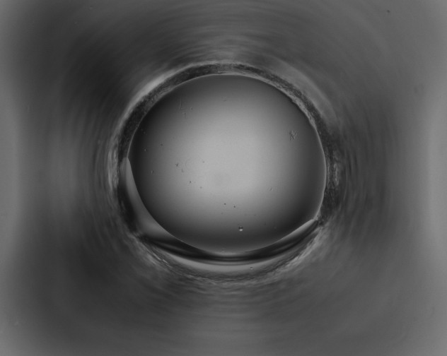 X0000088231069200705151448