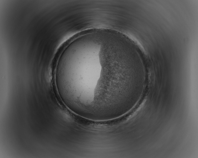 X0000088231070200705151448