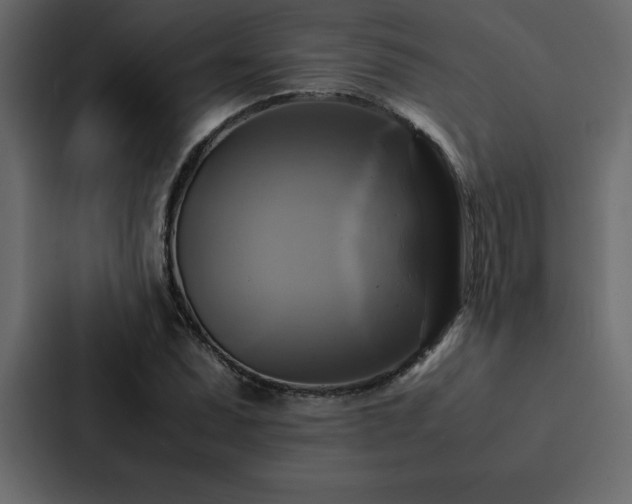 X0000088231071200705151448