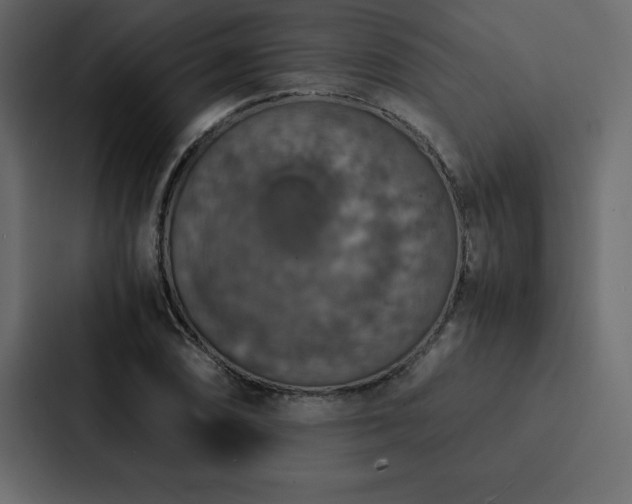 X0000088231074200705151448