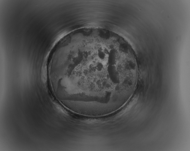 X0000088231075200705151448