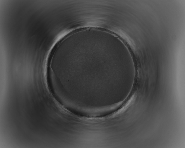X0000088231077200705151448