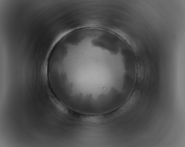 X0000088231078200705151448
