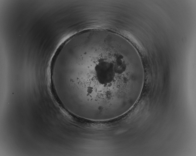 X0000088231079200705151448