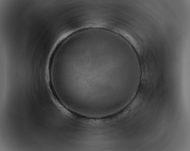 X0000088231080200705151448