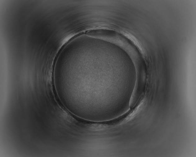 X0000088231081200705151448