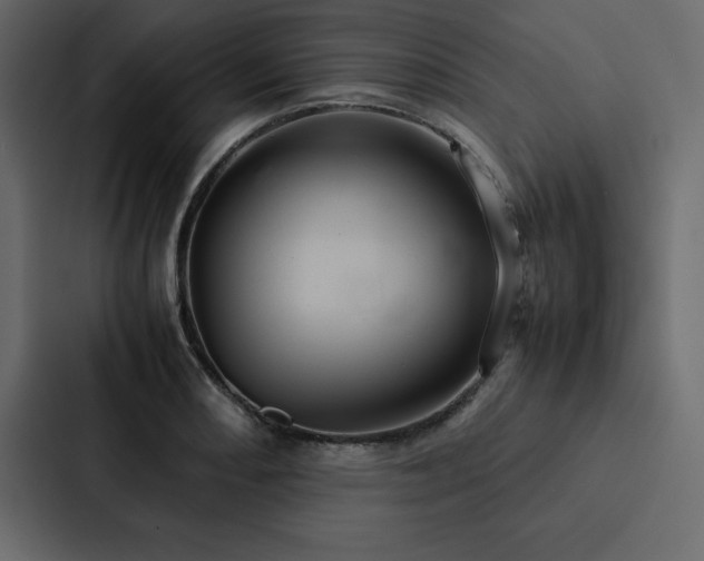 X0000088231082200705151448