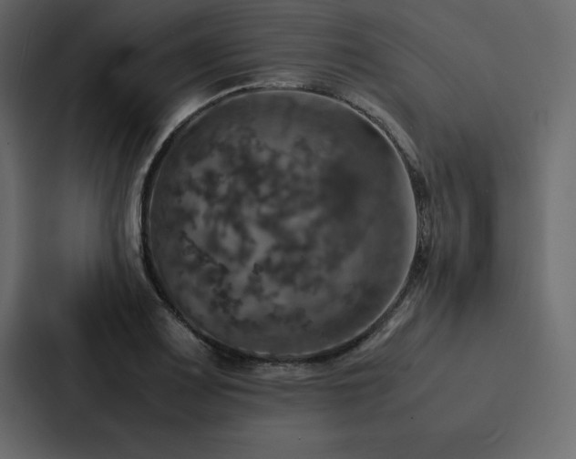 X0000088231083200705151448
