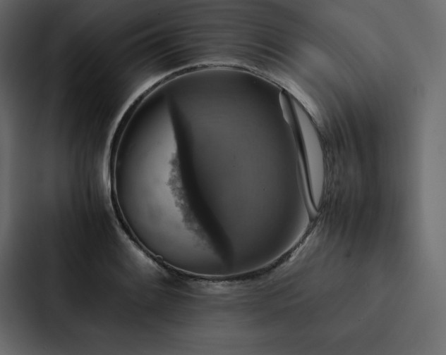 X0000088231084200705151448