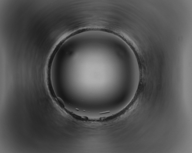 X0000088231085200705151448