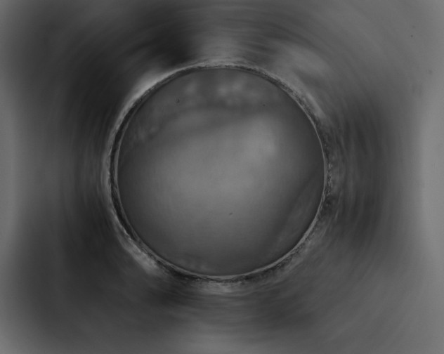 X0000088231086200705151448