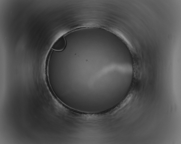 X0000088231087200705151448