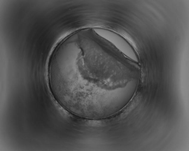 X0000088231088200705151448