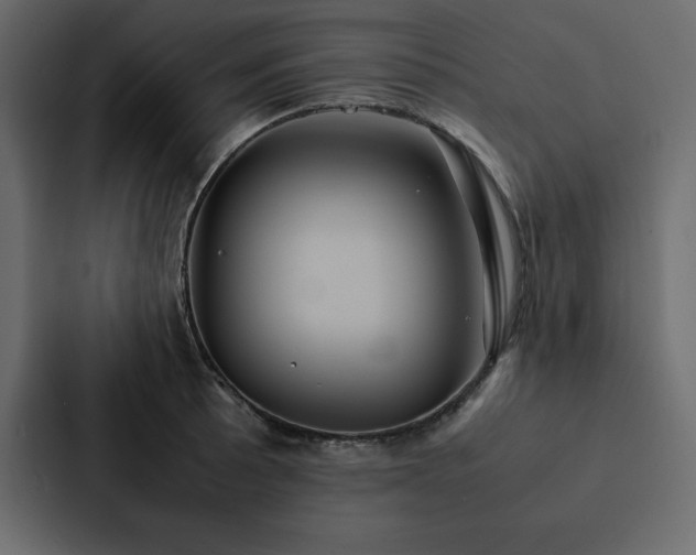 X0000088231089200705151448