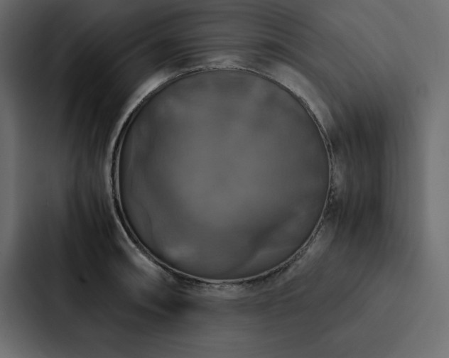 X0000088231090200705151448