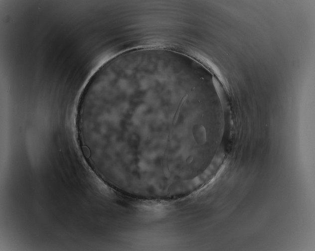 X0000088231091200705151448