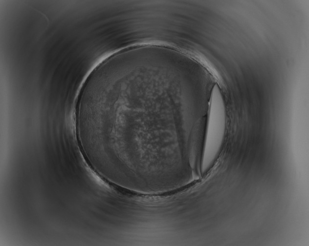 X0000088231092200705151448