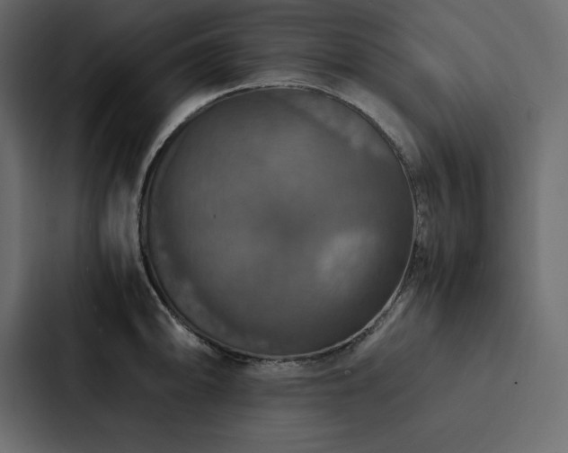 X0000088231094200705151448
