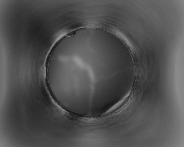 X0000088231095200705151448
