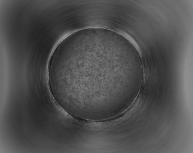 X0000088231096200705151448