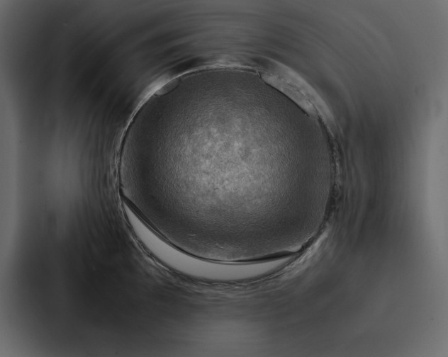 X0000088231097200705151448