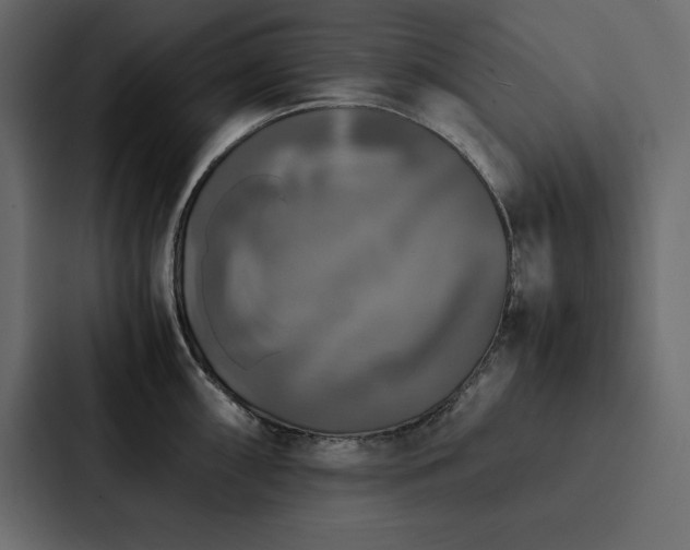 X0000088231098200705151448
