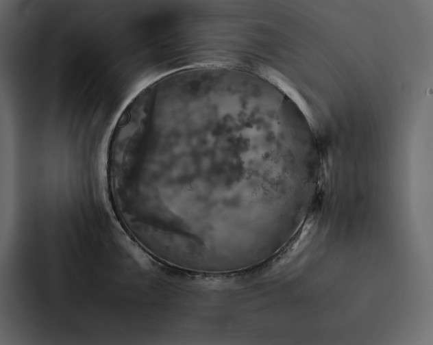 X0000088231099200705151448