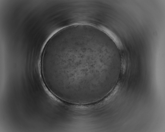 X0000088231100200705151448