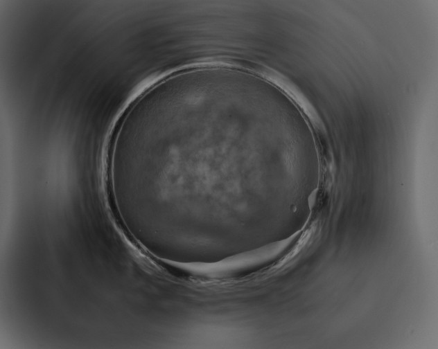 X0000088231101200705151448