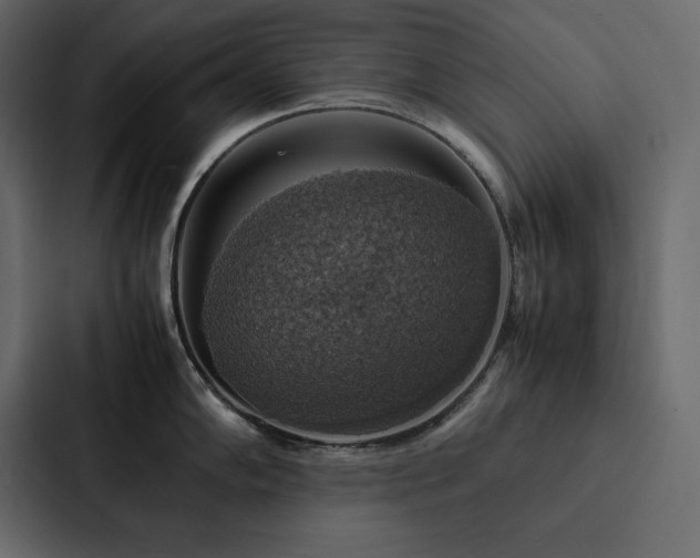 X0000088231102200705151448