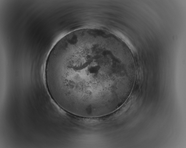 X0000088231103200705151448
