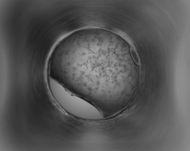 X0000088231104200705151448